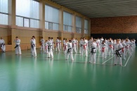 008