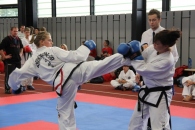 233