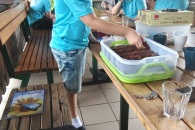 IMG_20220730_155122_01