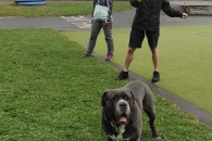 IMG_20220730_171052_01