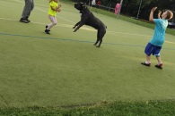 IMG_20220731_191554_01