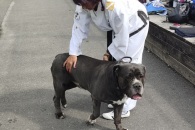 IMG_20220801_100501_01