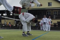 IMG_20220802_110032_Burst01_01