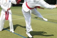 IMG_20220802_113339_Burst05_01