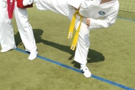 IMG_20220802_113417_01