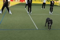 IMG_20220804_070040_01