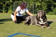 IMG_20220804_072913_01