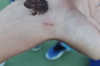 IMG_20220805_202245_01