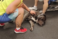 IMG_20220806_153809_01