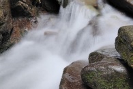 IMG_20220808_154916_01