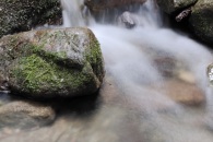 IMG_20220808_161030_01