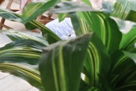 IMG_20220810_193116_01