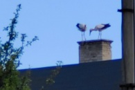 IMG_20220812_110931_01