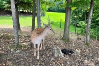 received_515628603666834