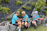 IMG_20260803_174113