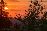 IMG_20260803_200324